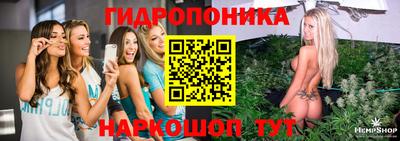мет Можга