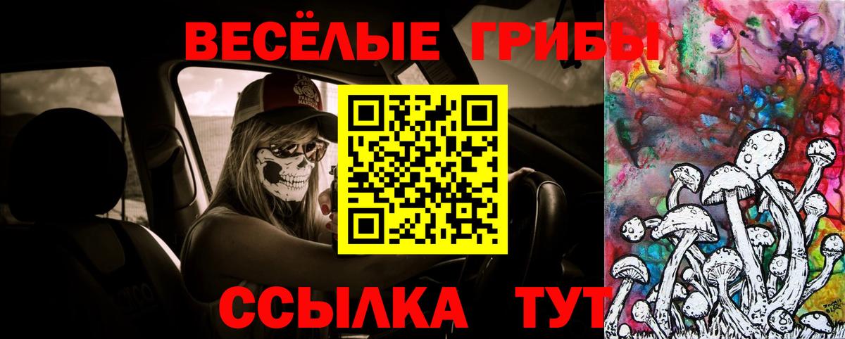 Усолье-Сибирское  Галлюциногенные грибы Magic Shrooms  Вход с VPN 
